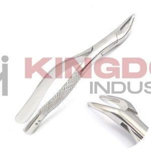 Tooth Extracting Forceps (English pattern)PL-TEF-2001